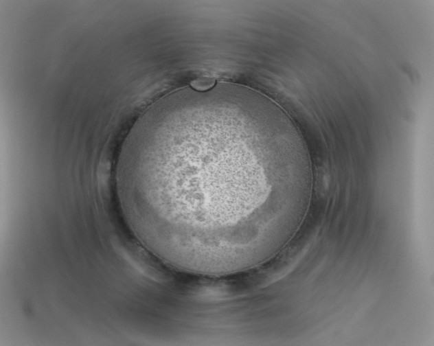 X0000114020263200910161803