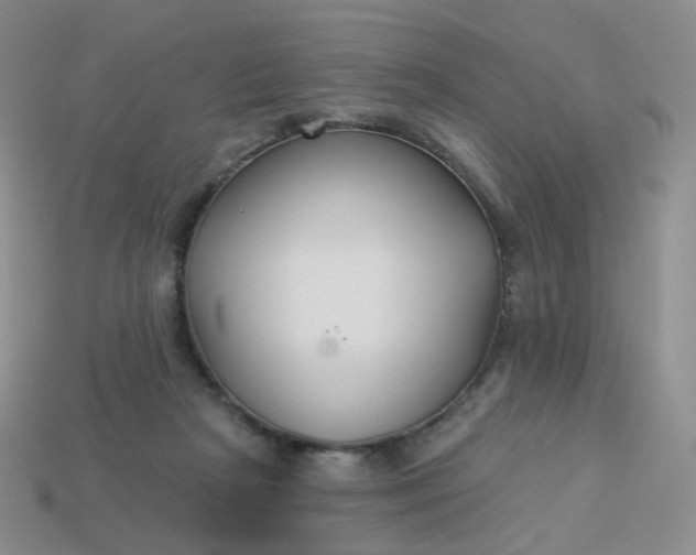 X0000114020265200910161803