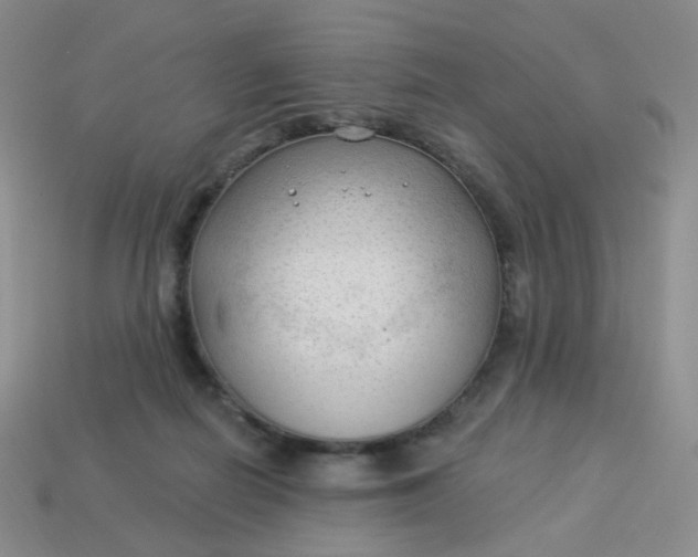 X0000114020266200910161803