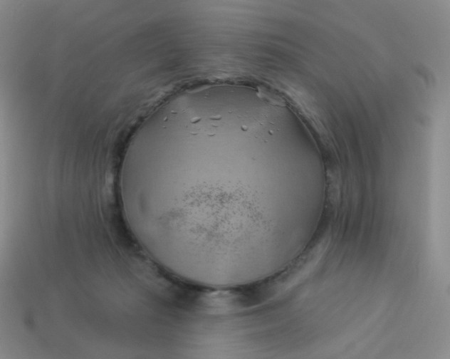 X0000114020269200910161803