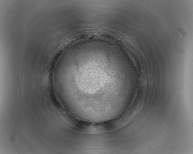 X0000114020270200910161803