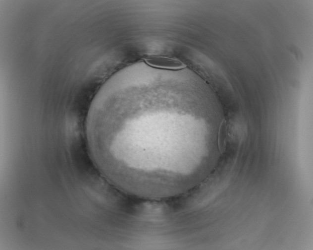 X0000114020272200910161803