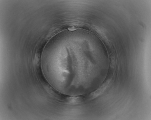 X0000114020273200910161803