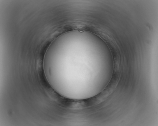 X0000114020274200910161804