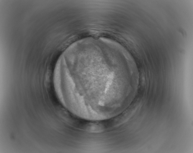 X0000114020275200910161804