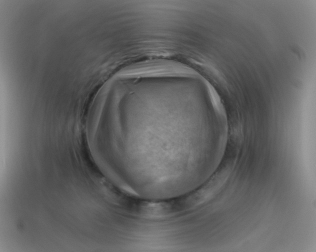 X0000114020277200910161804