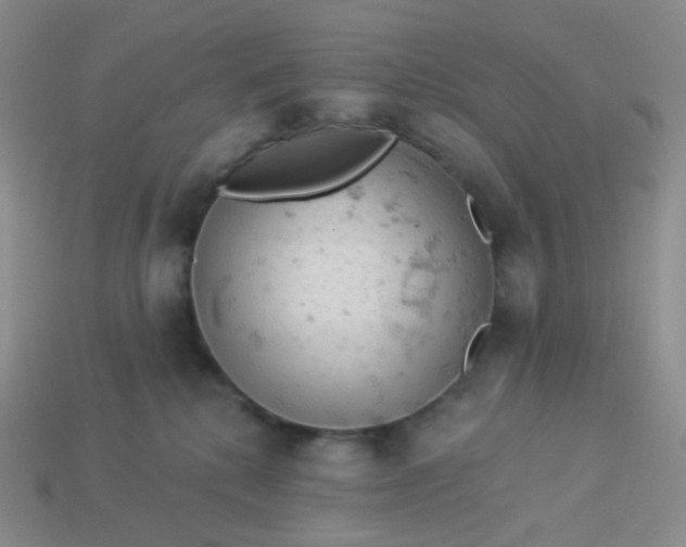 X0000114020280200910161804