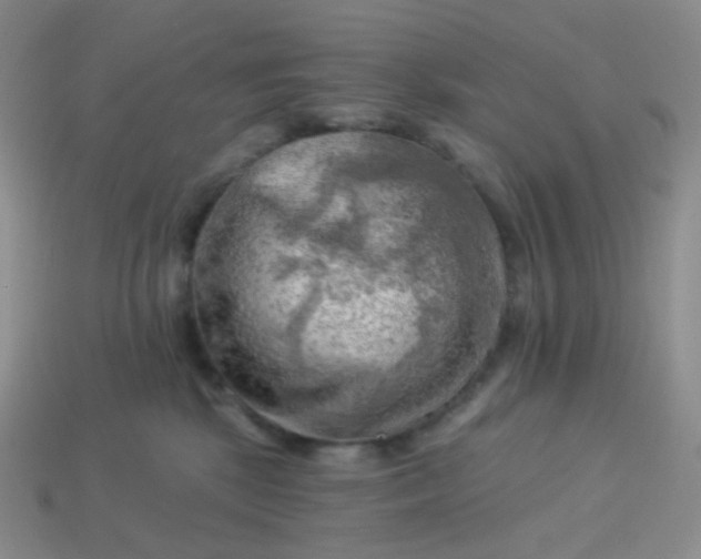 X0000114020281200910161804