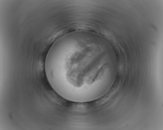 X0000114020282200910161804