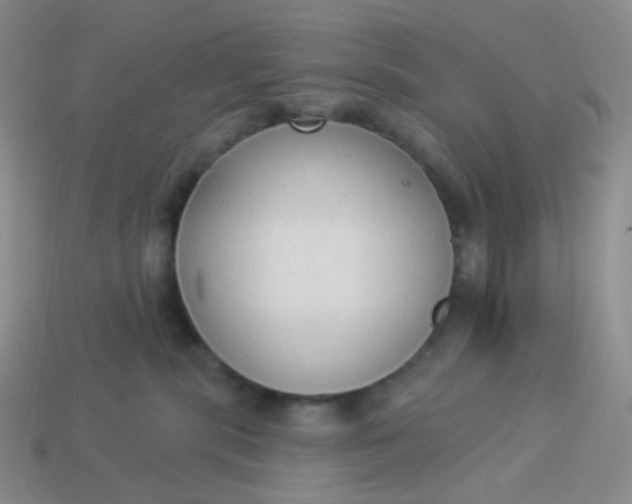 X0000114020283200910161804