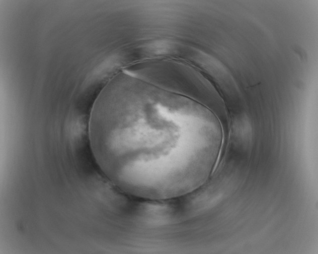 X0000114020284200910161804