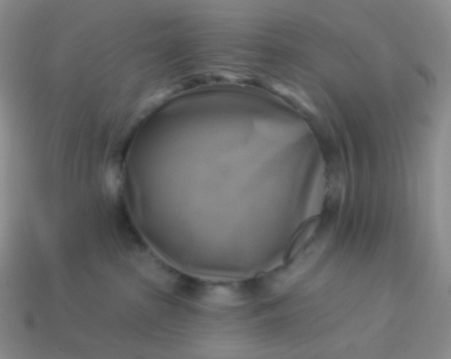 X0000114020285200910161804