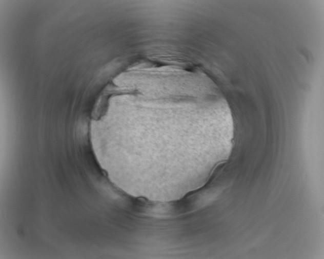 X0000114020288200910161804