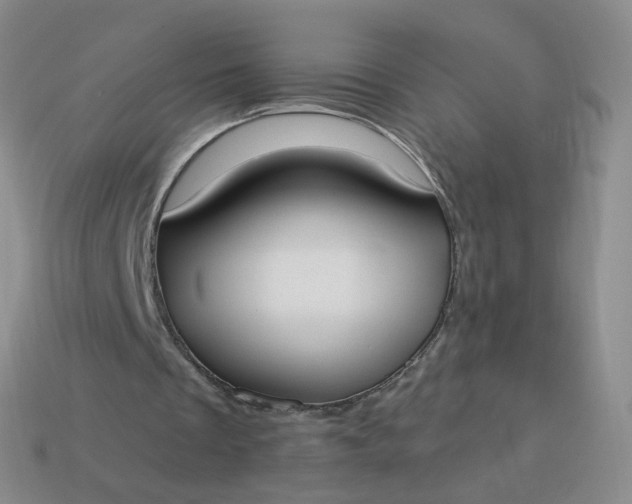 X0000114020289200910161803