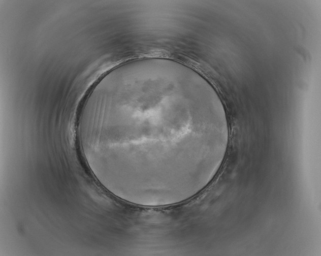 X0000114020290200910161803