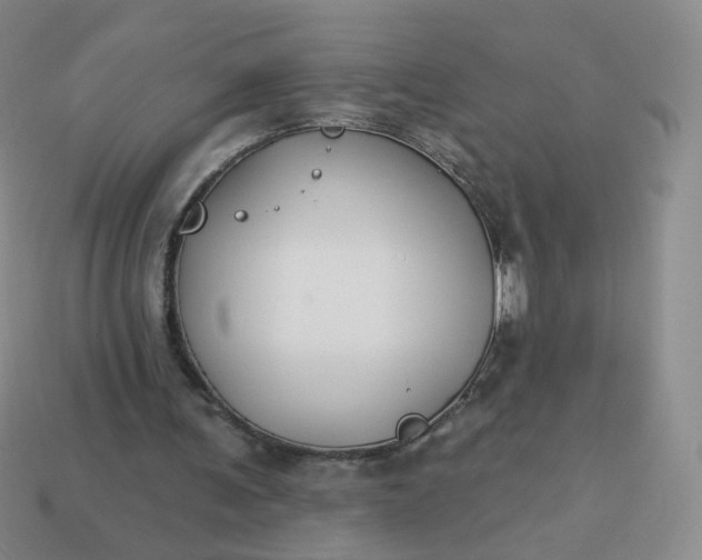 X0000114020291200910161803