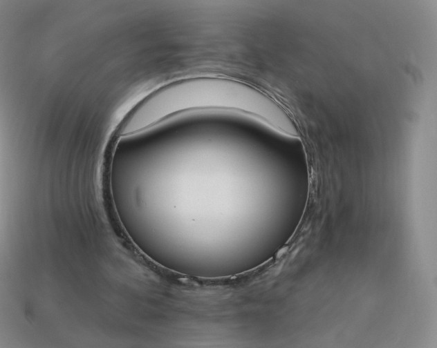 X0000114020292200910161803