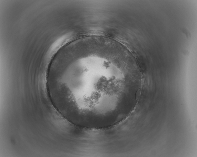 X0000114020293200910161803