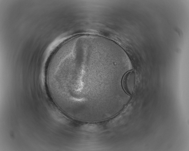 X0000114020294200910161803