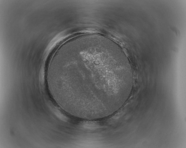 X0000114020296200910161803