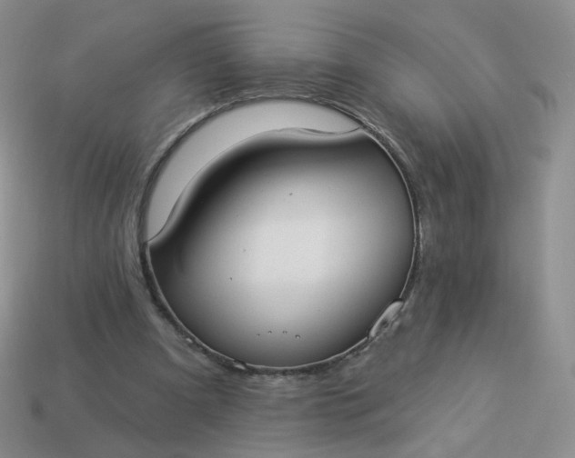 X0000114020297200910161803