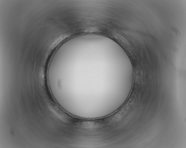 X0000114020298200910161803