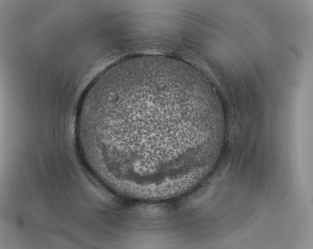 X0000114020299200910161803