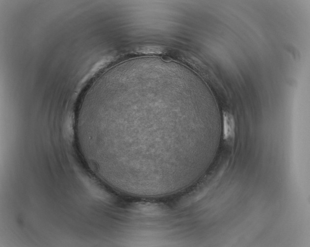 X0000114020300200910161803