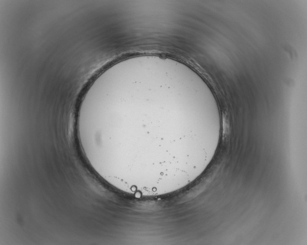 X0000114020301200910161803