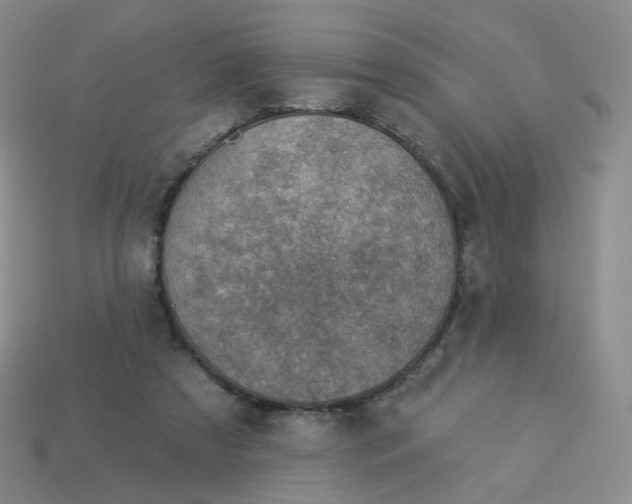 X0000114020305200910161803