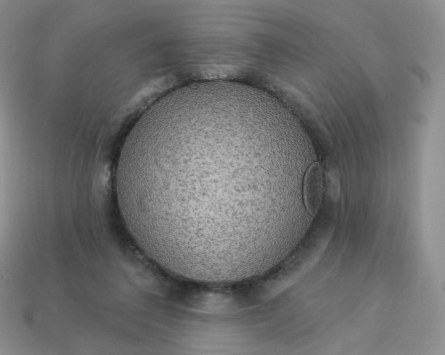 X0000114020308200910161803