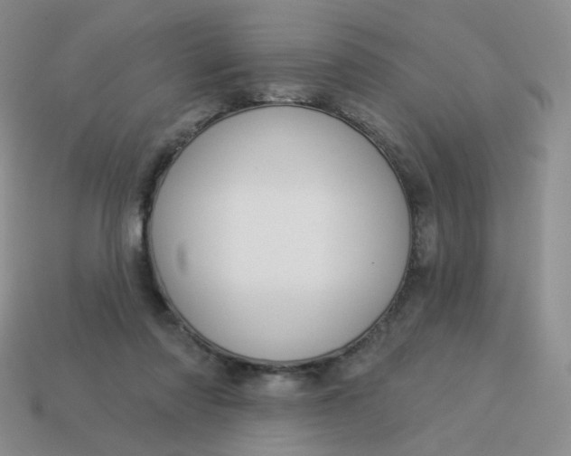 X0000114020310200910161803