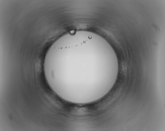 X0000114020311200910161803