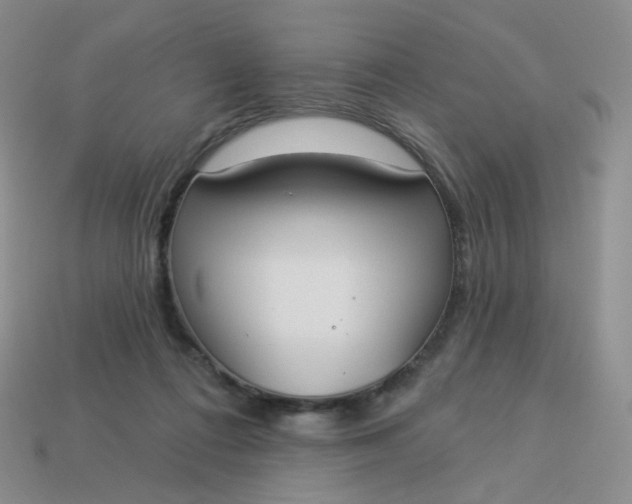 X0000114020312200910161802