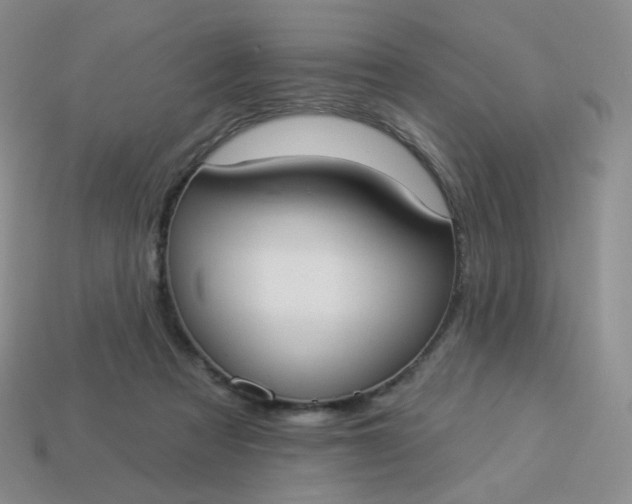 X0000114020313200910161802