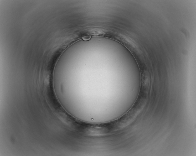 X0000114020315200910161802