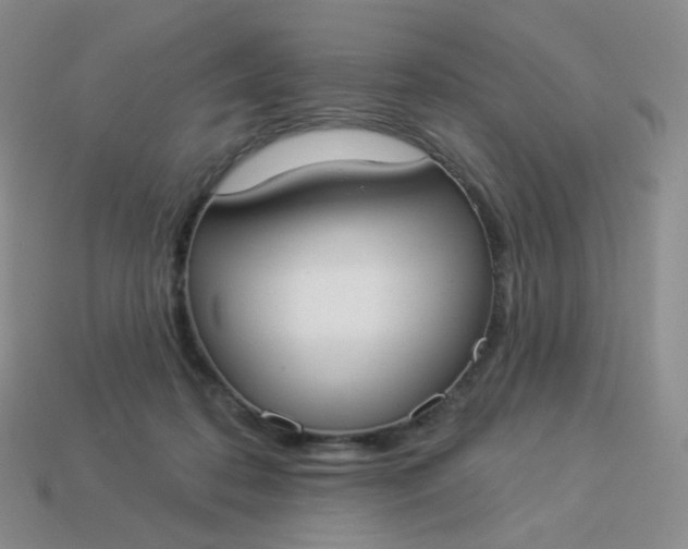 X0000114020316200910161802