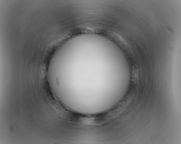 X0000114020318200910161802