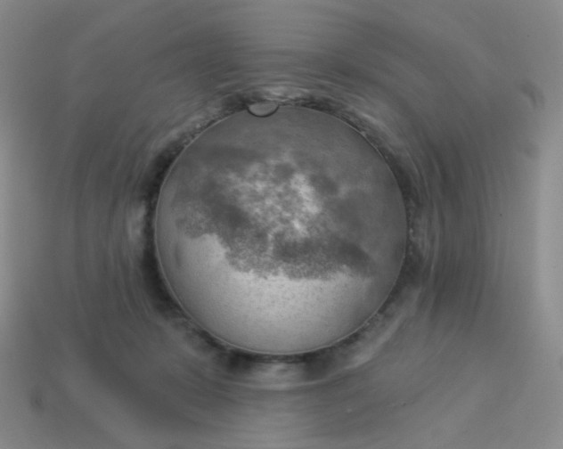 X0000114020319200910161802