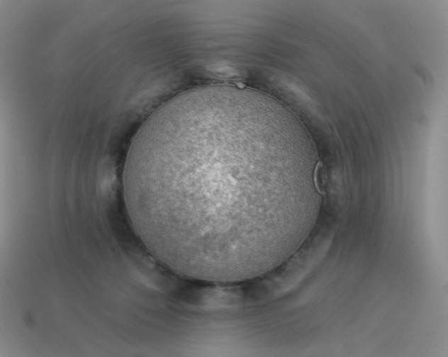 X0000114020320200910161802