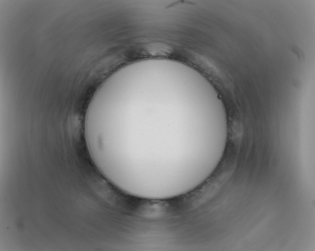 X0000114020321200910161802