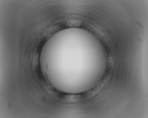 X0000114020323200910161802