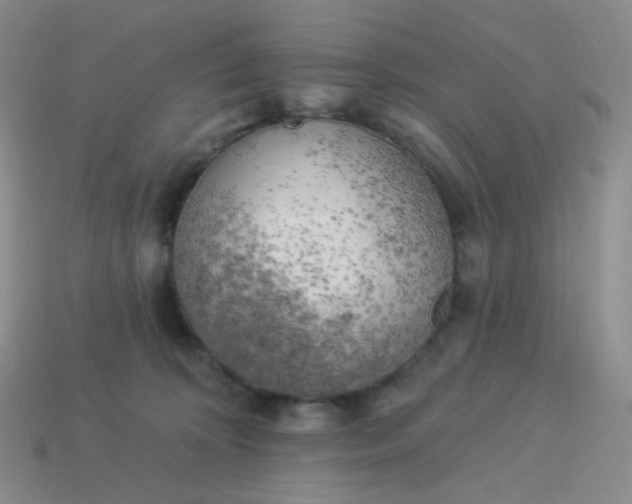 X0000114020324200910161802