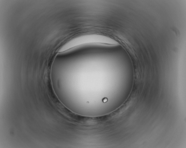 X0000114020325200910161802