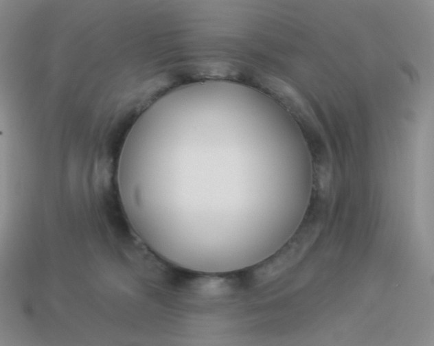 X0000114020326200910161802