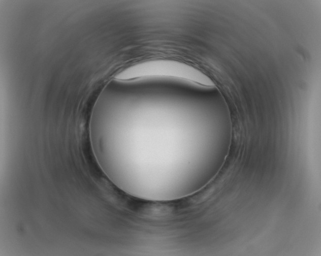 X0000114020327200910161802