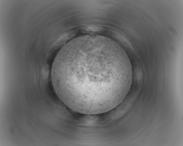 X0000114020328200910161802