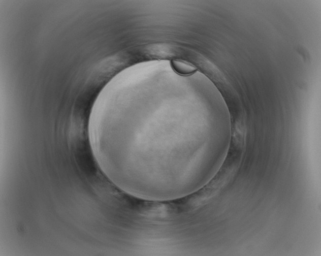 X0000114020330200910161802