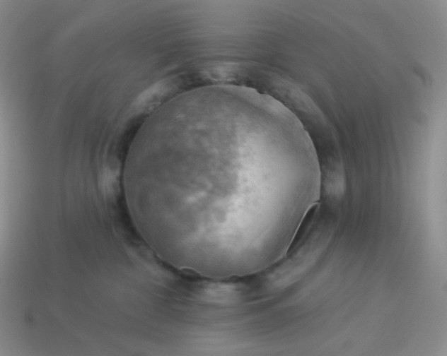 X0000114020332200910161802