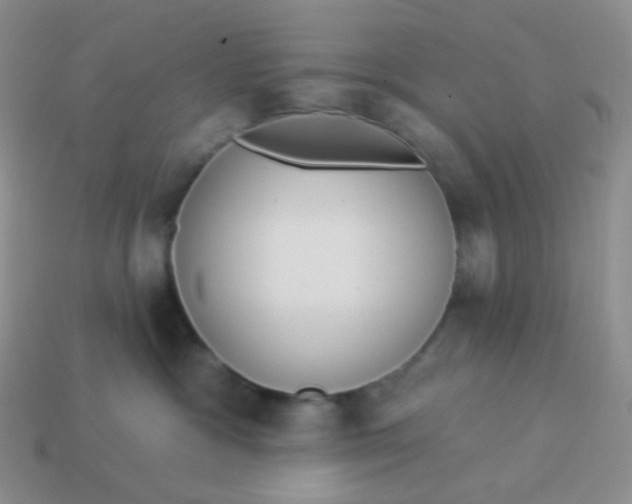 X0000114020333200910161802